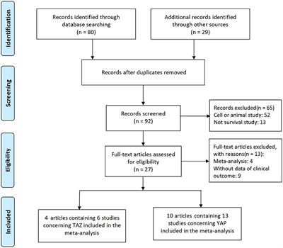 The Hippo Signaling Core Components YAP and TAZ as New Prognostic Factors in Lung Cancer